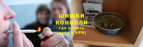 дживик Каменск-Шахтинский