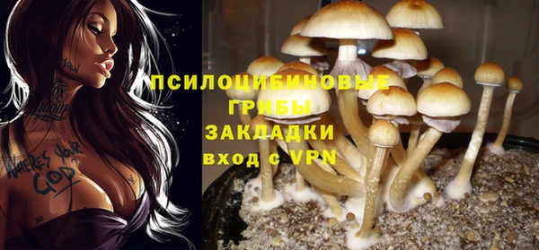 круглые Каменка