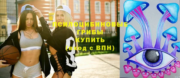 дживик Каменск-Шахтинский
