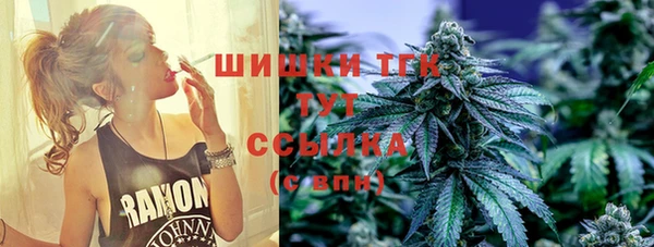 дживик Каменск-Шахтинский