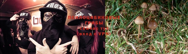 круглые Каменка