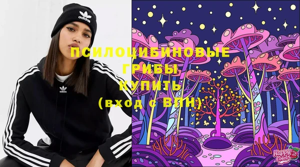 стаф Усинск
