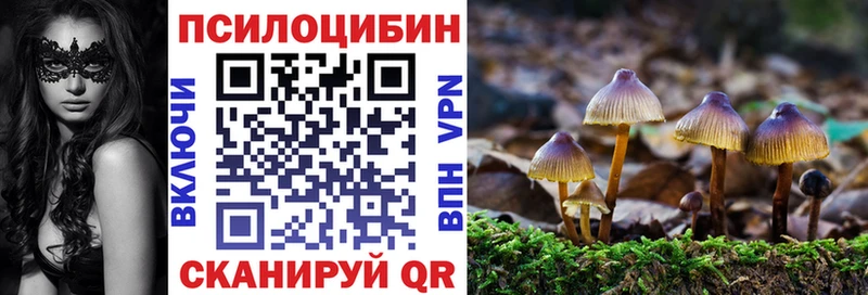Псилоцибиновые грибы Psilocybine cubensis  Купить где  Новоалтайск 